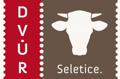 Dvůr_Seletice_logo_